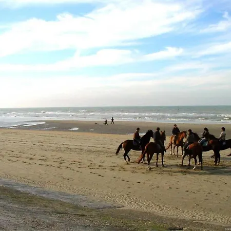 Near Market Blankenberge